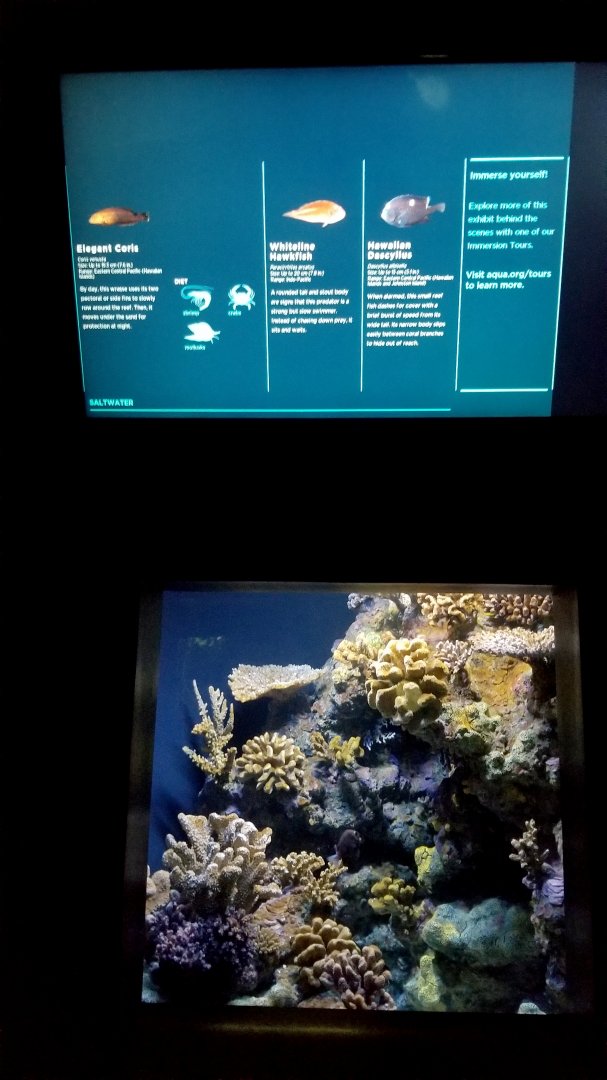 Moving tank, saltwater