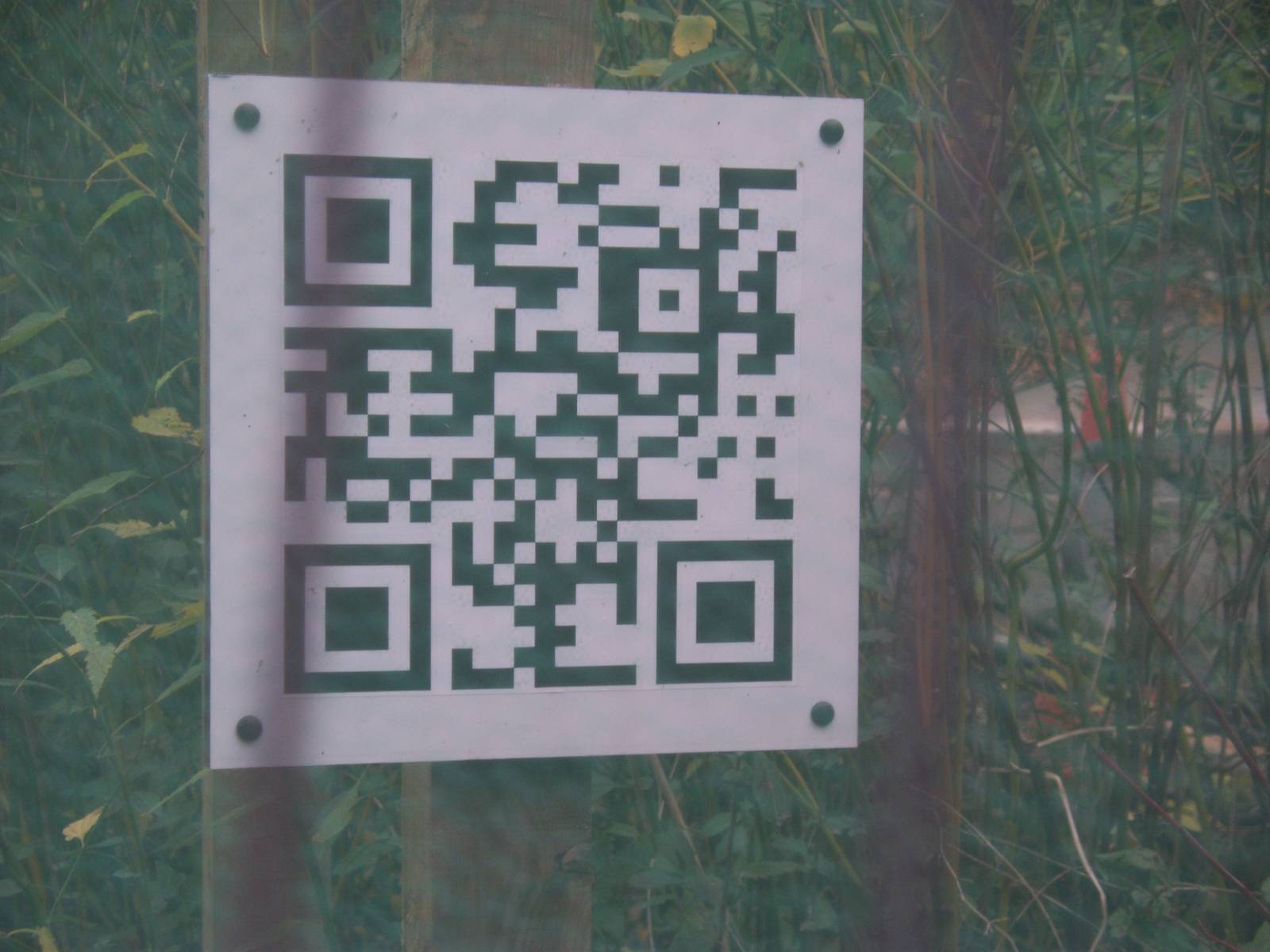 moving with the times