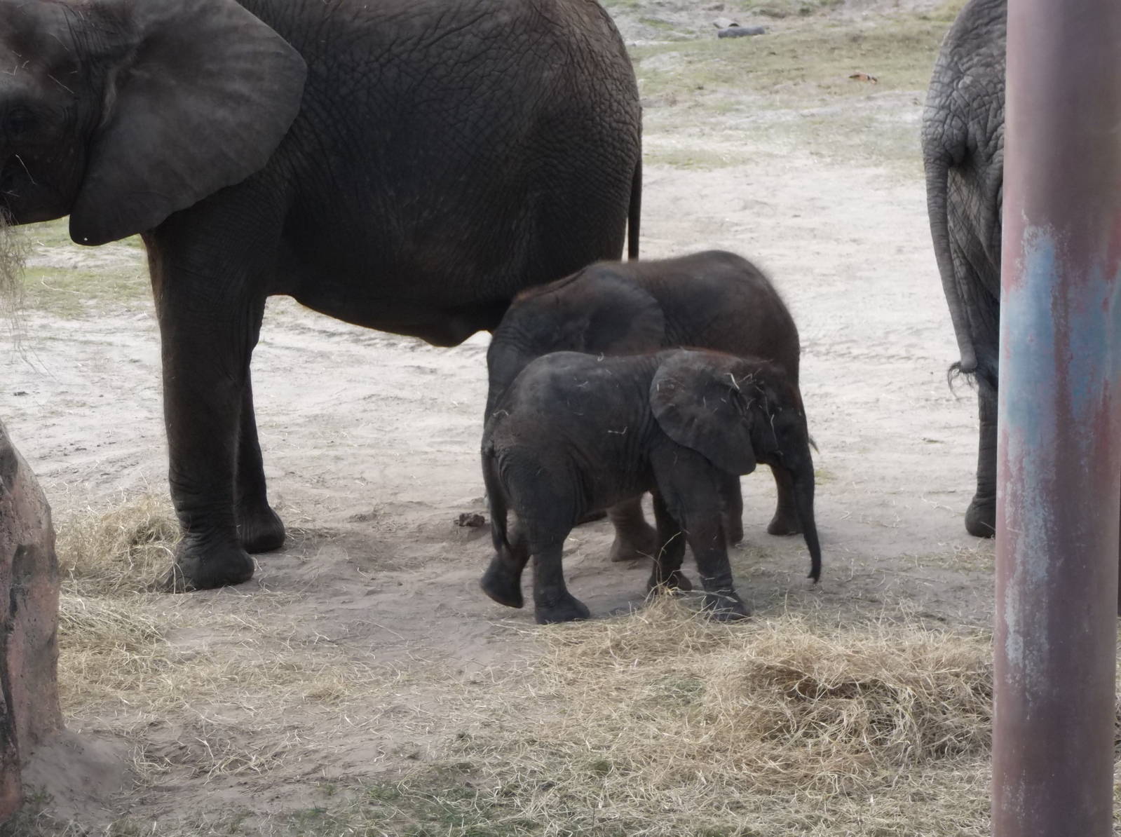 MPUMI AND MAVI ON 12-23-2013