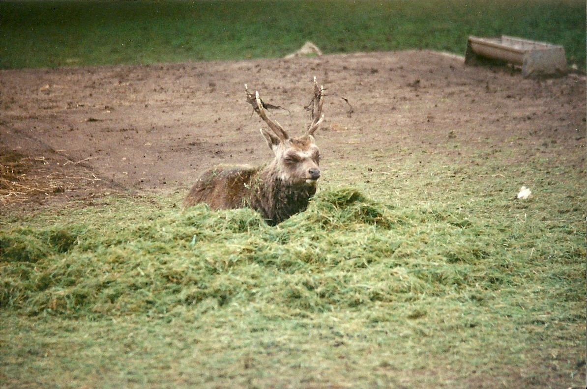 Mr Smith 10th October 1998