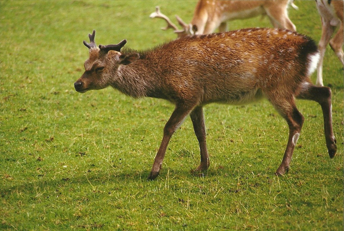 Mr Smith 14th August 1999