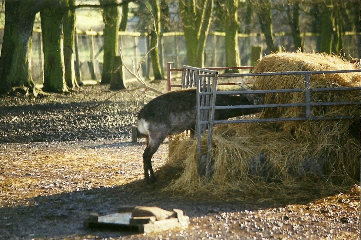 Mr Smith 16th January 1999