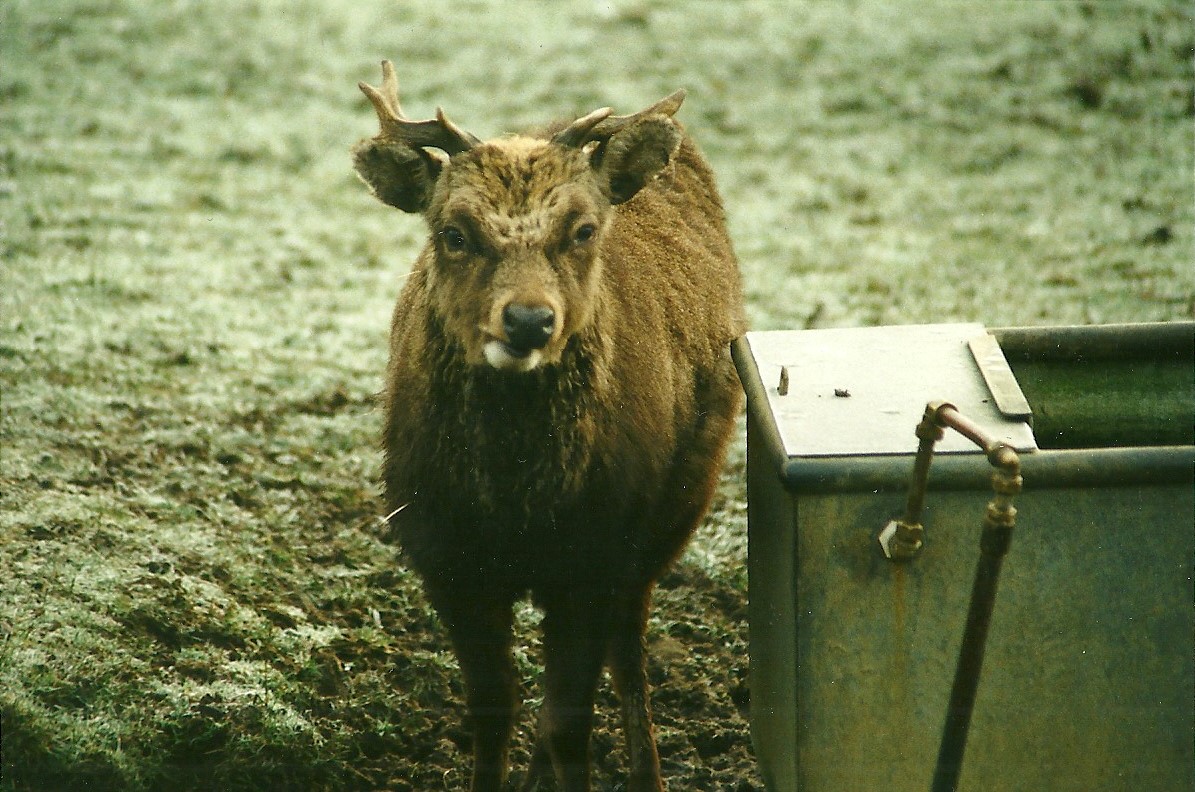 Mr Smith 18th December 1999