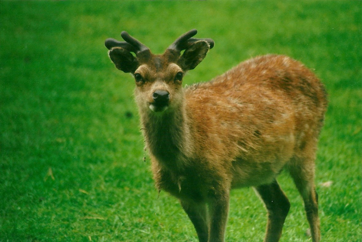 Mr Smith 27th May 2000