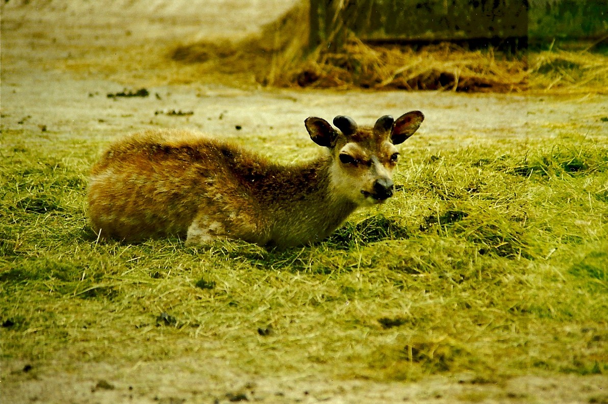 Mr Smith 5th June 1999