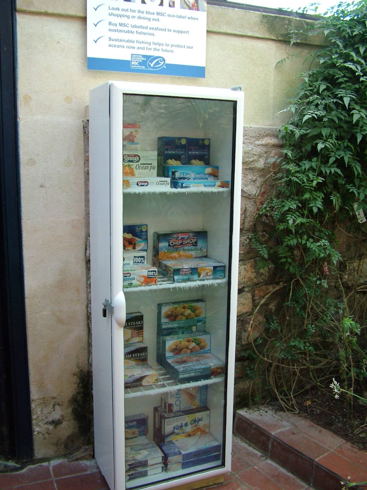 MSC-approved fish products at Bristol 19/12/09