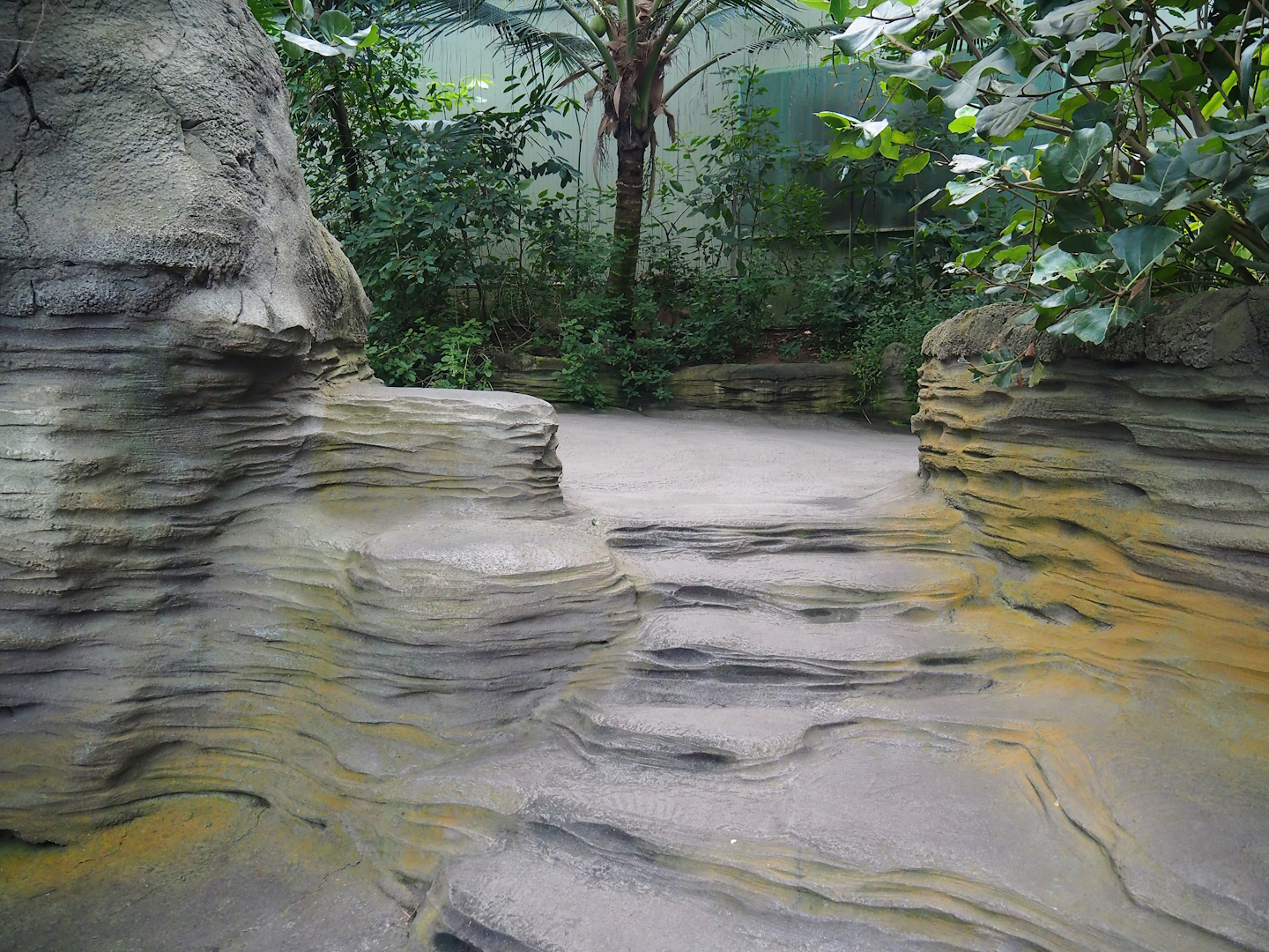 "Mud" stairs between main walkway and manatee underwater viewing area, 2023-10-07