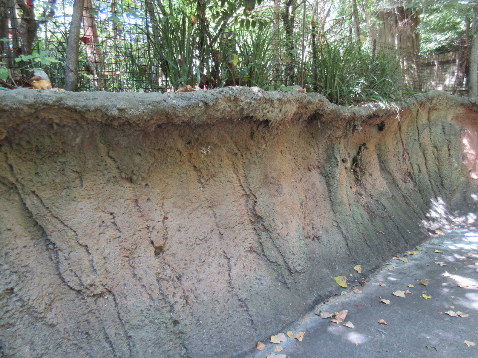 Mudbank Along Visitor Pathway