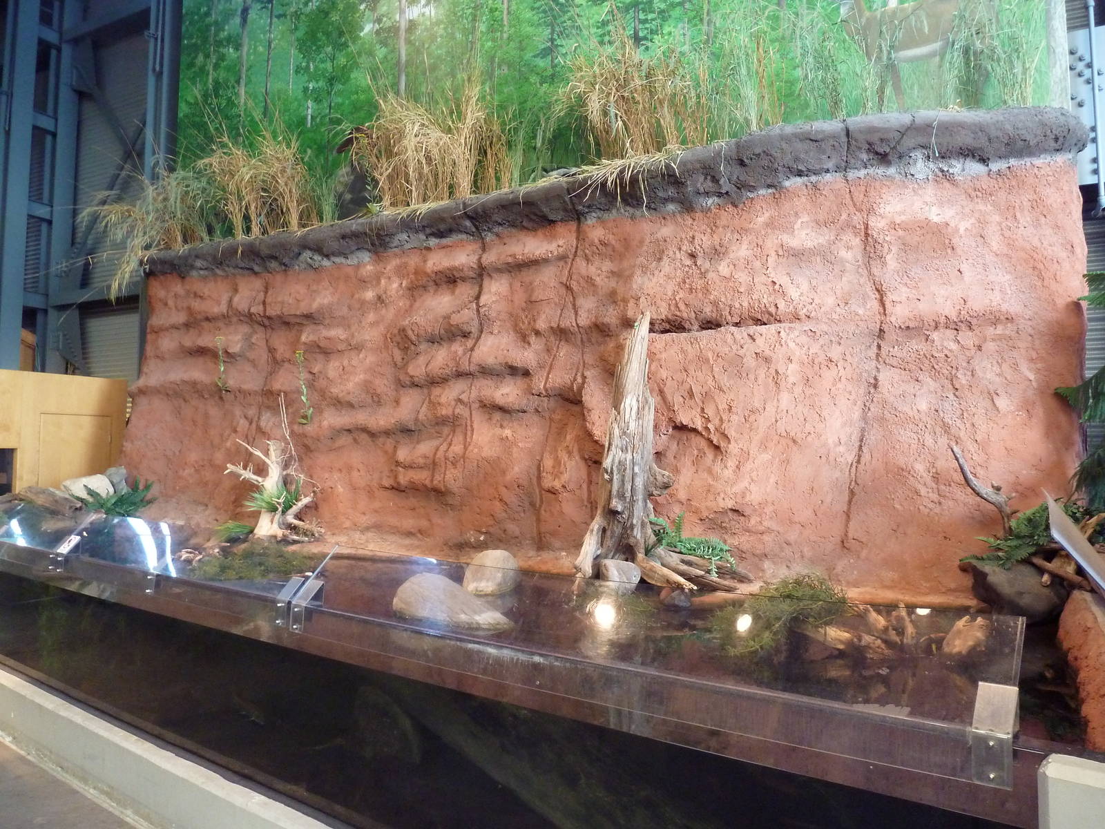 Mudbank Exhibit