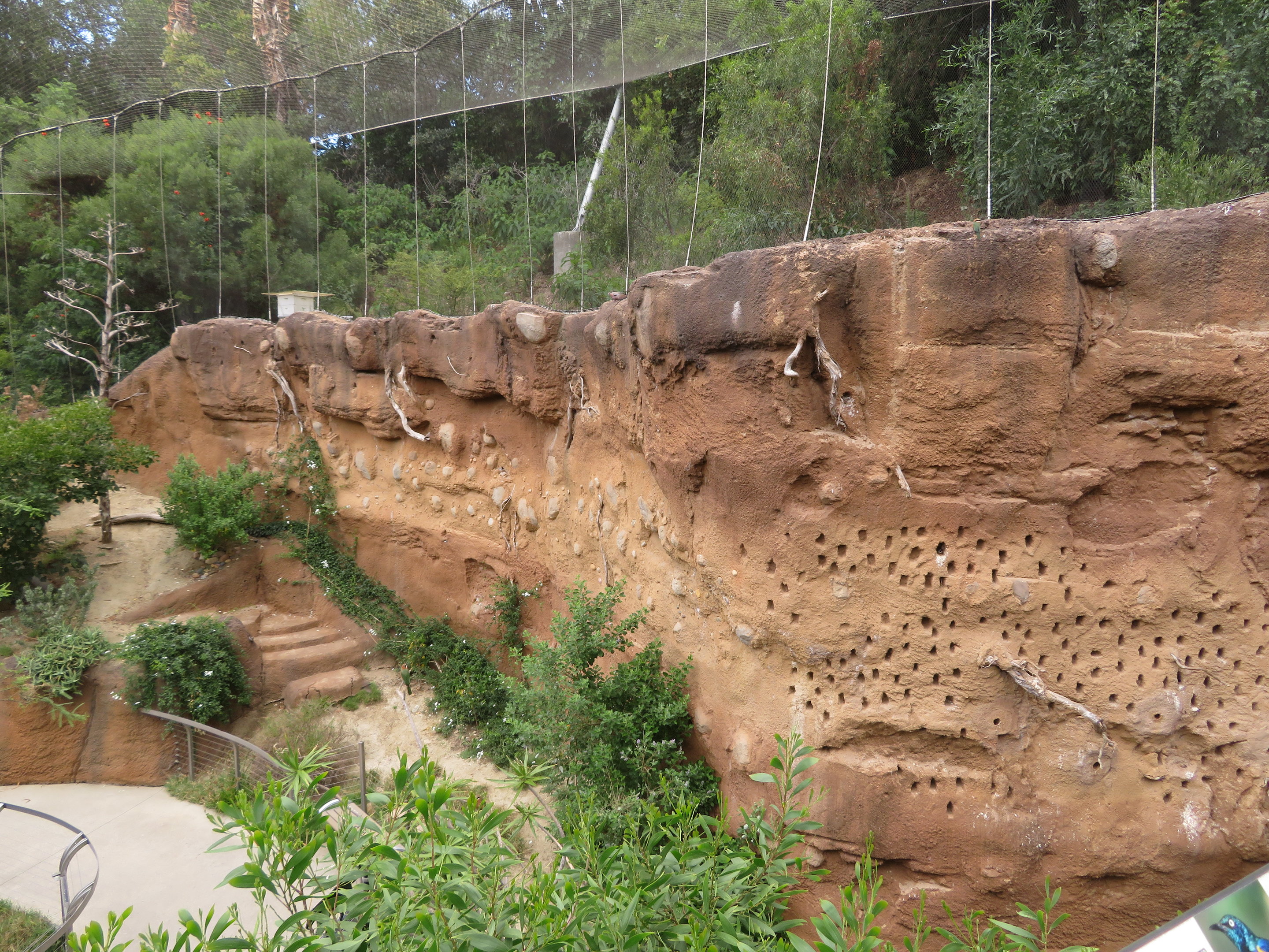 Mudbank Nesting Holes