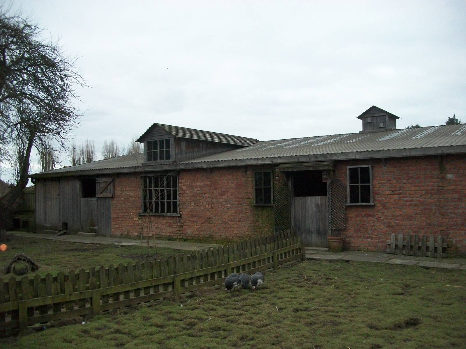 Muddy Duck Farm 22nd February 2013