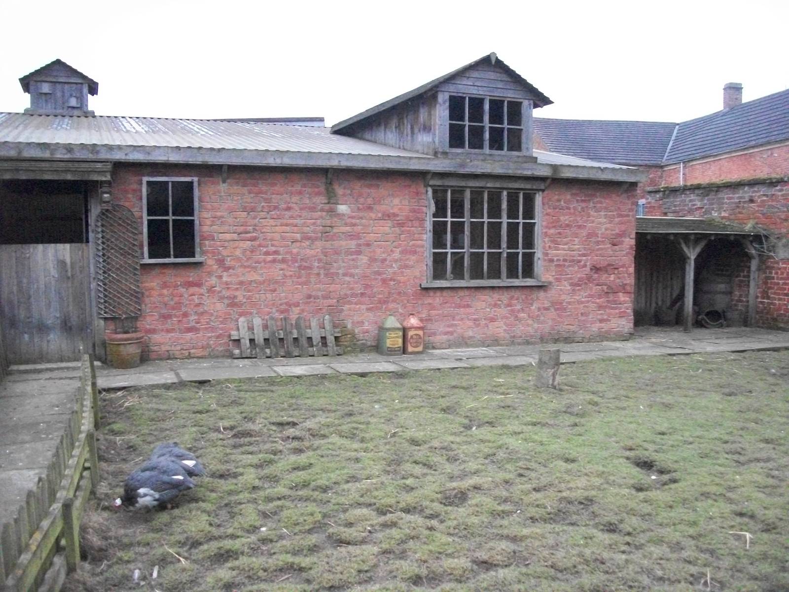 Muddy Duck Farm 22nd February 2013
