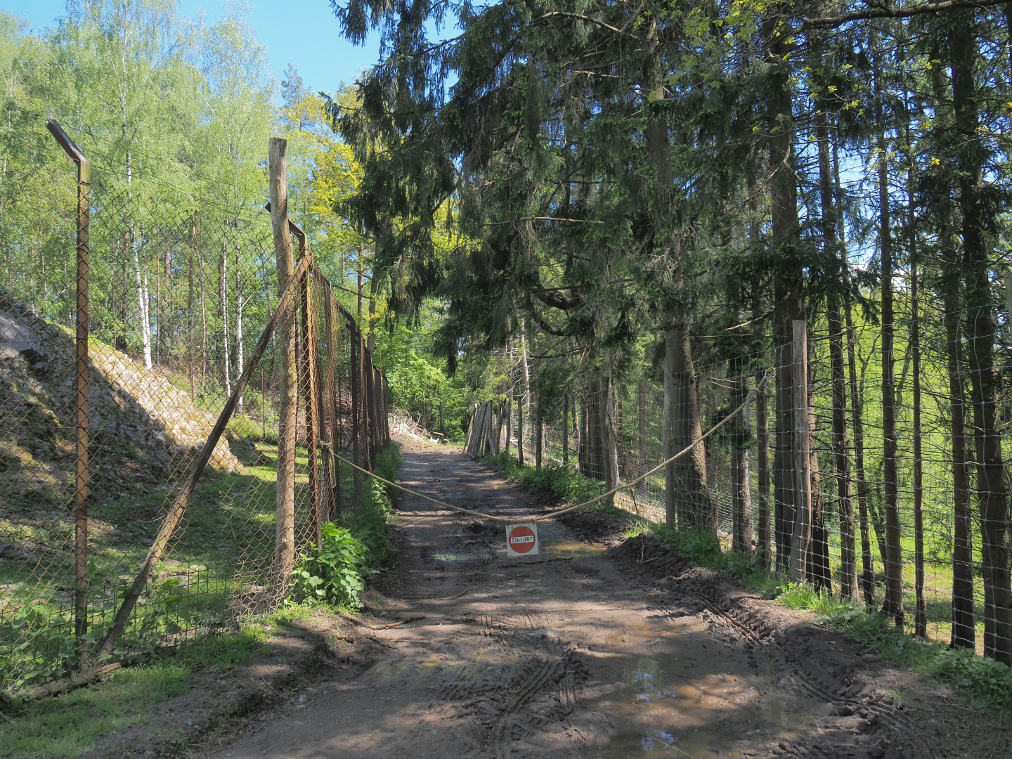 Muddy staff road, 2021-05-29