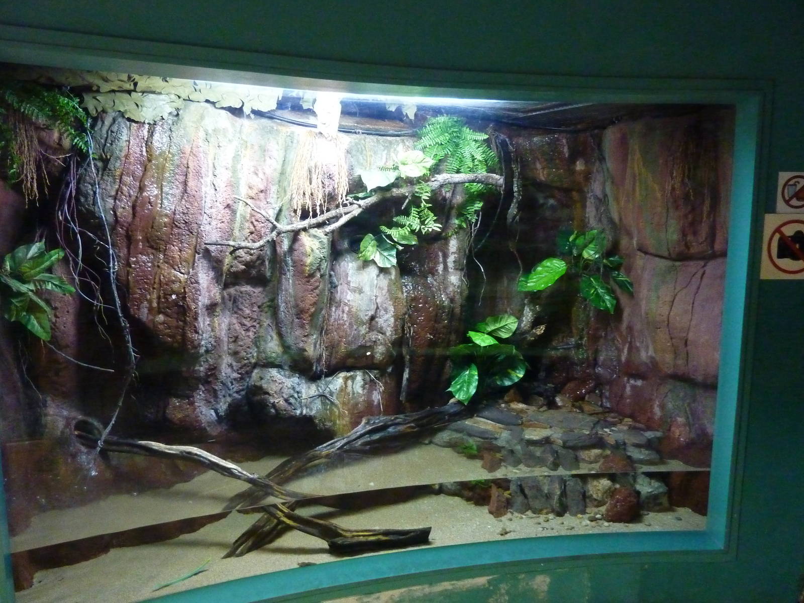 Mudskipper exhibit, 10th April 2012