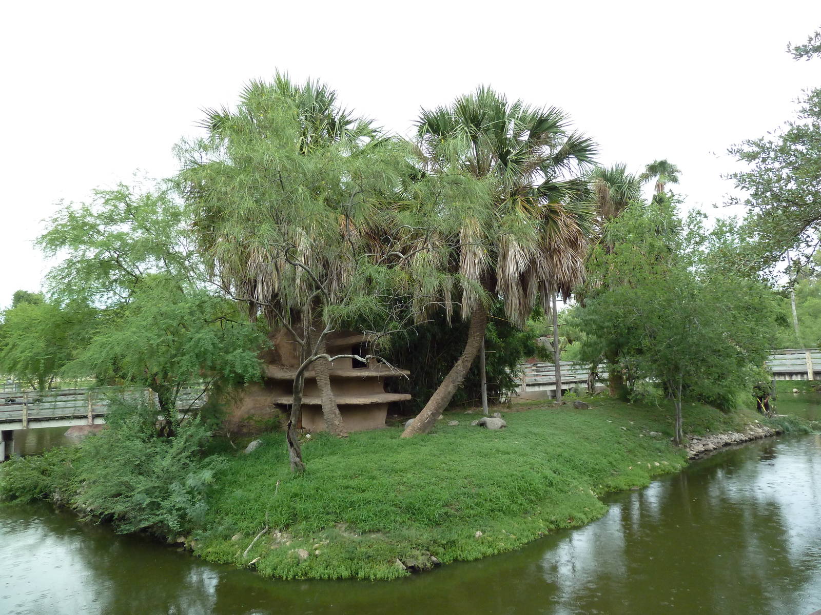 Mueller's Gibbon Exhibit