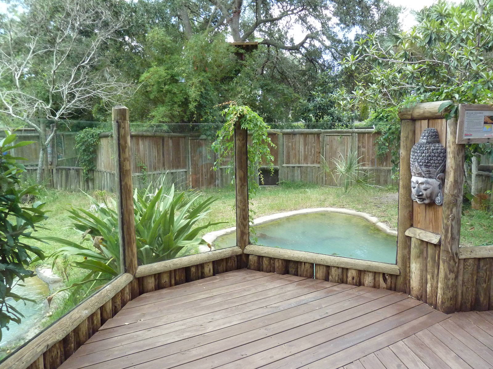 Mugger Crocodile Exhibit