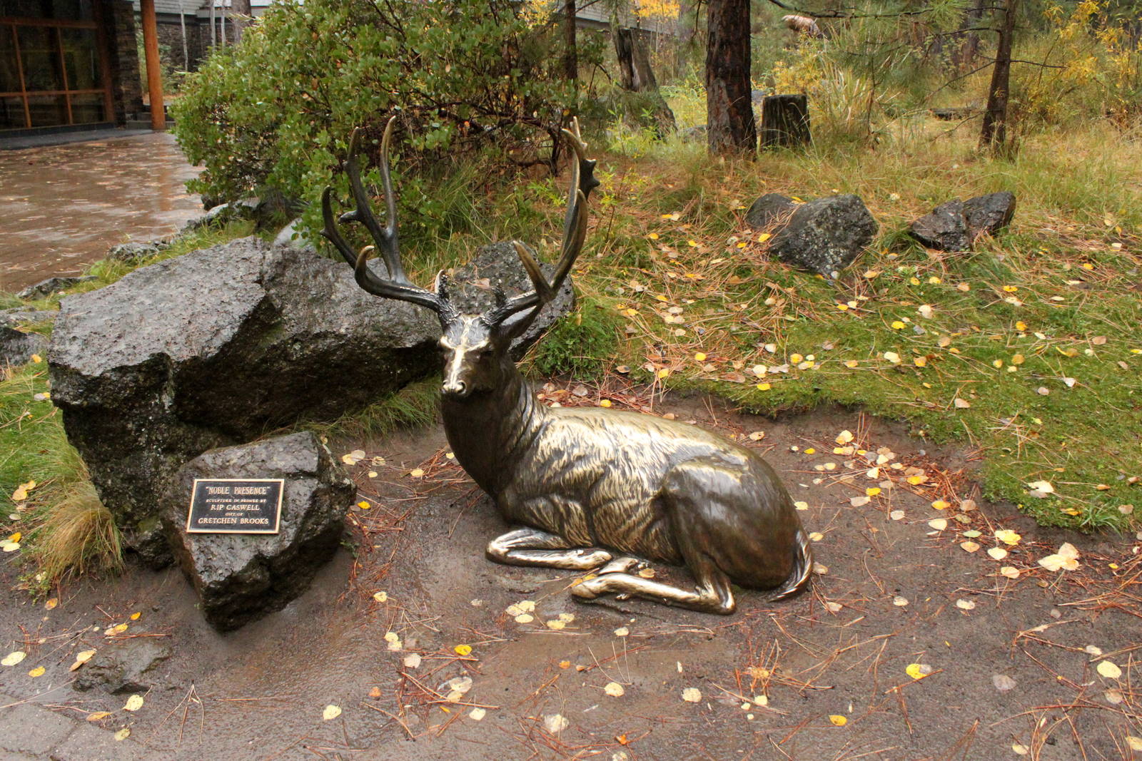 Mule Deer Bronze