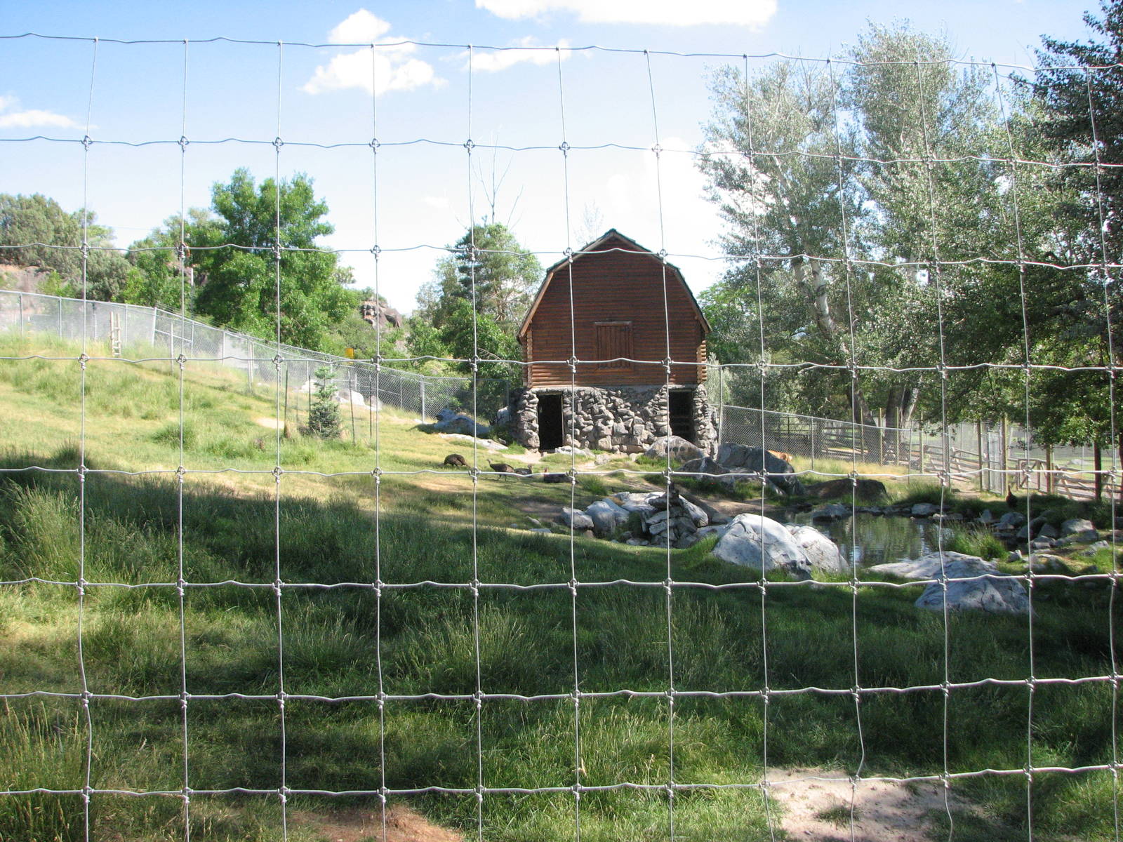 Mule Deer, Sandhill Crane, Wild Turkey Exhibit