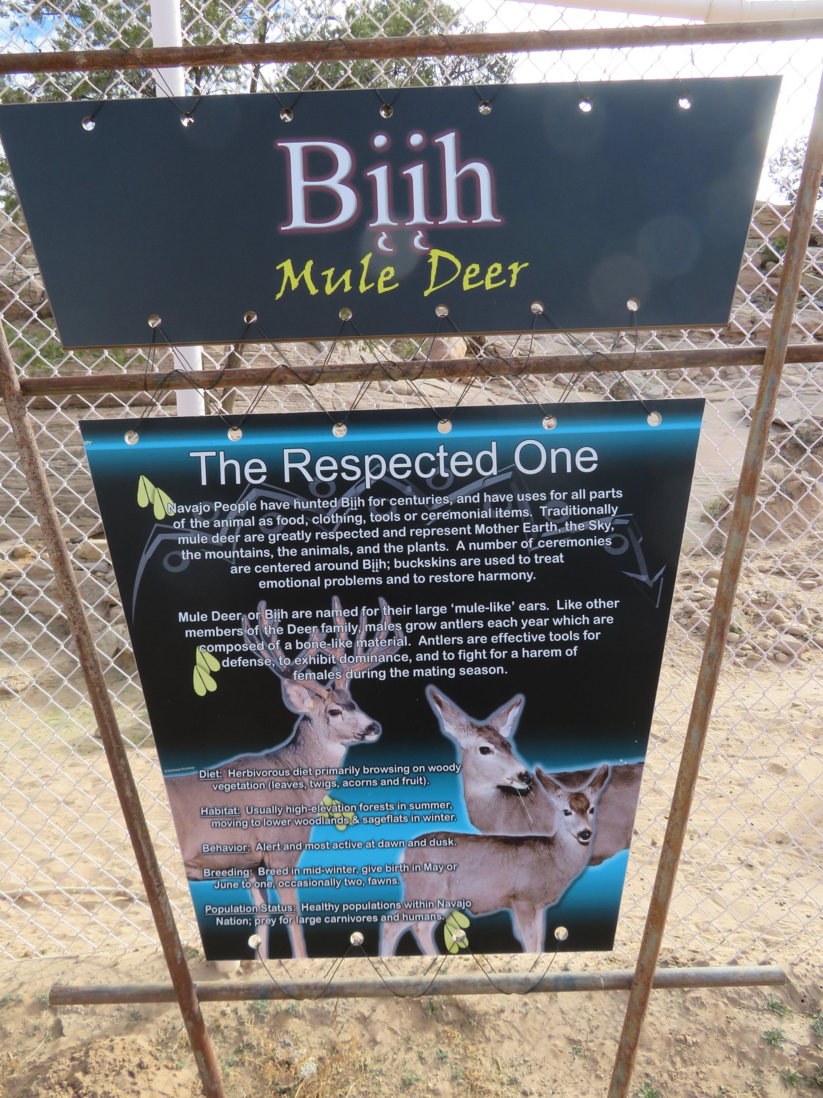 Mule Deer Signage