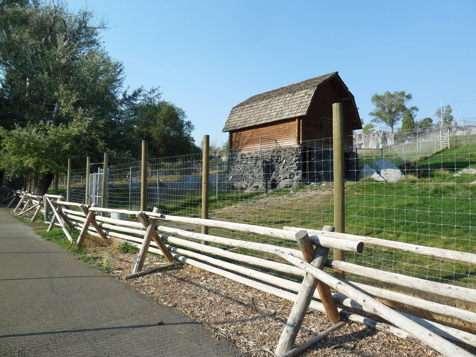 Mule Deer/Wild Turkey Exhibit