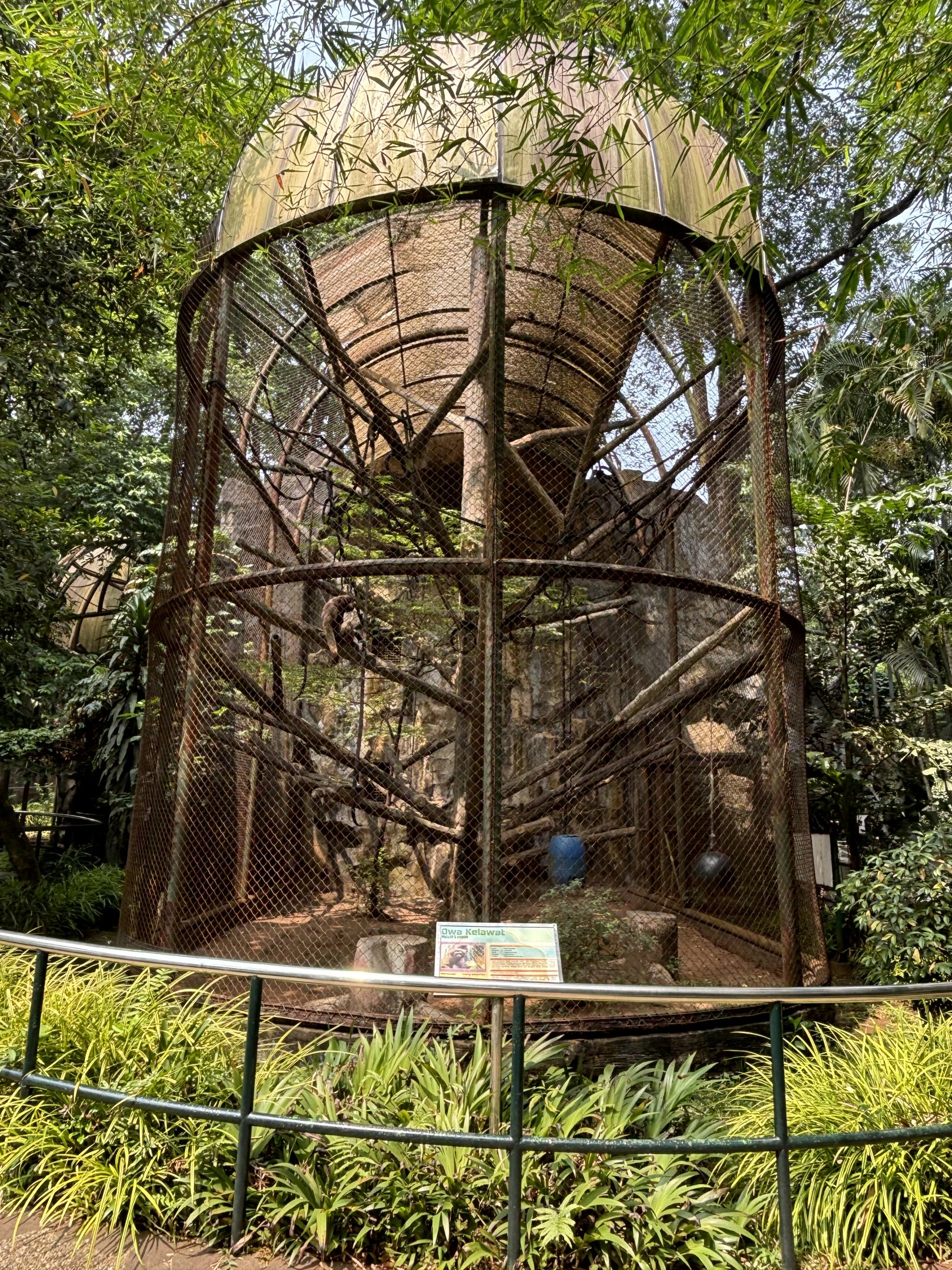 Muller’s Gibbon Exhibit #2