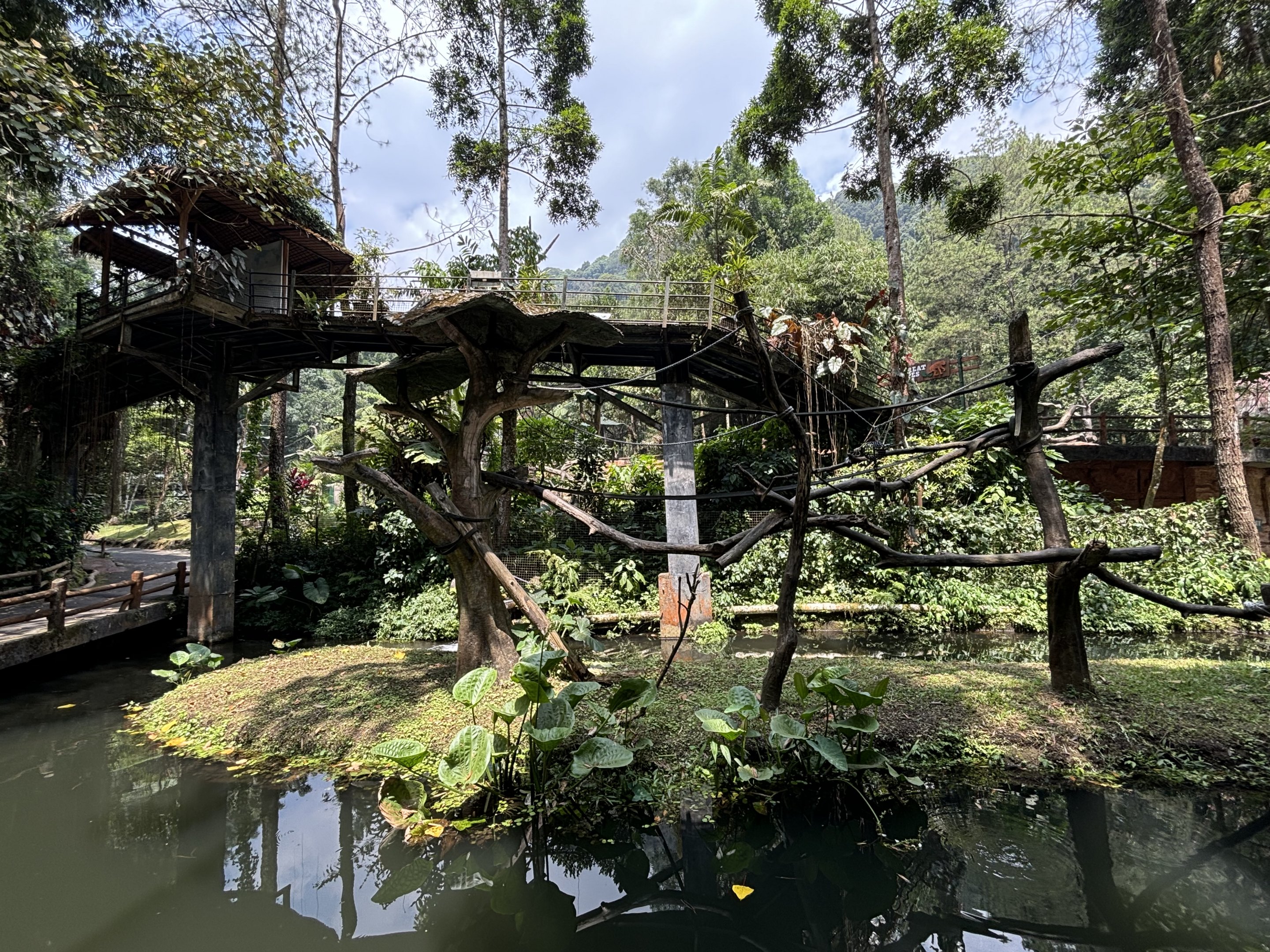 Muller’s Gibbon Exhibit