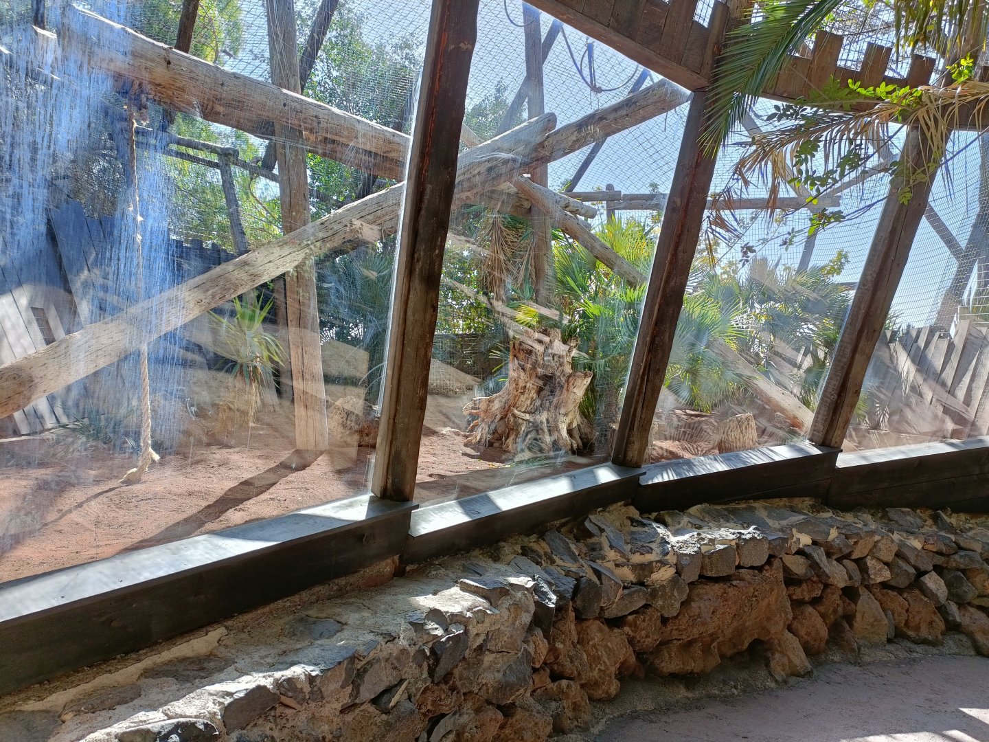 Müller's gibbon exhibit