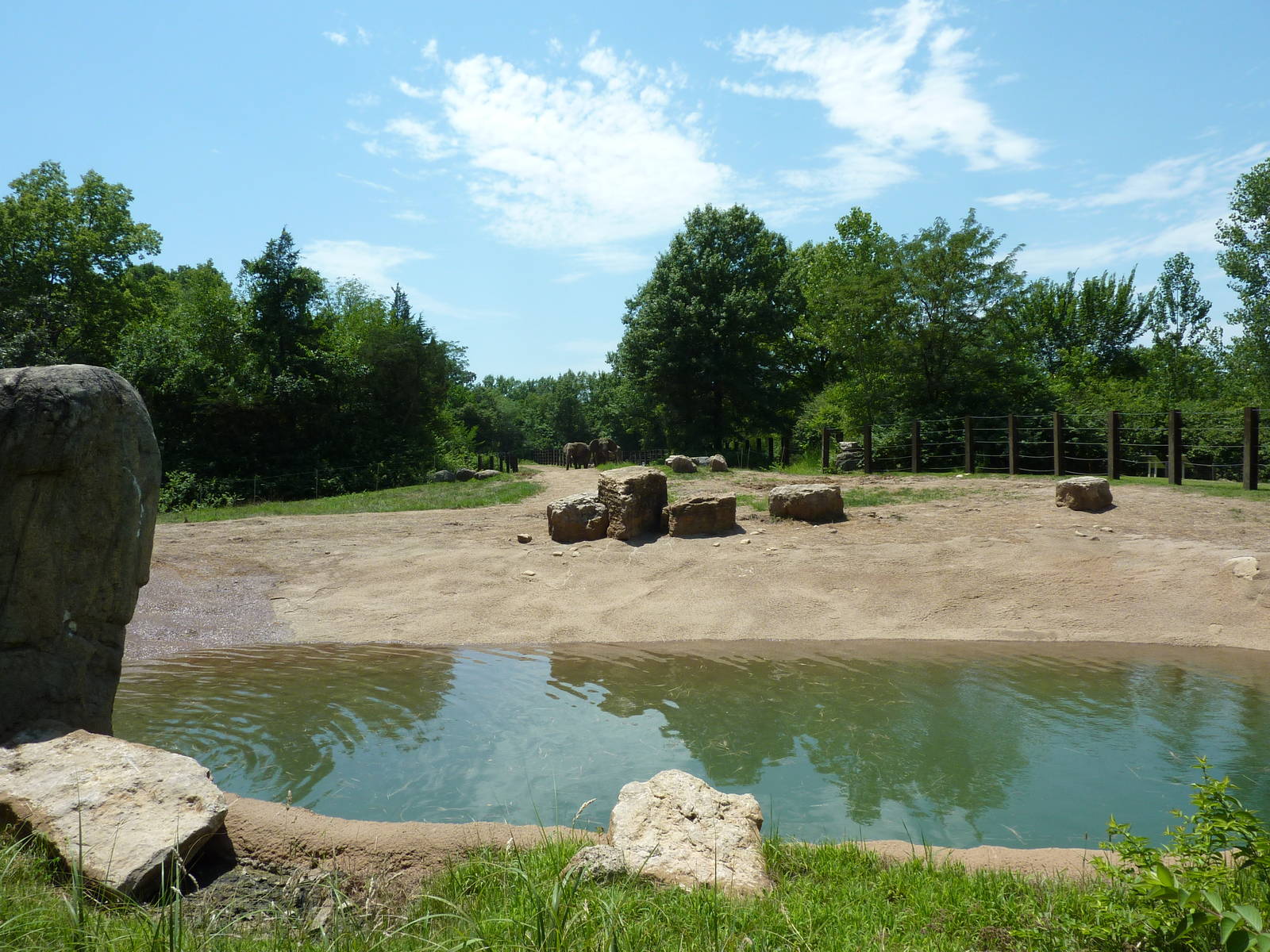 Multi-Acre African Elephant Exhibit