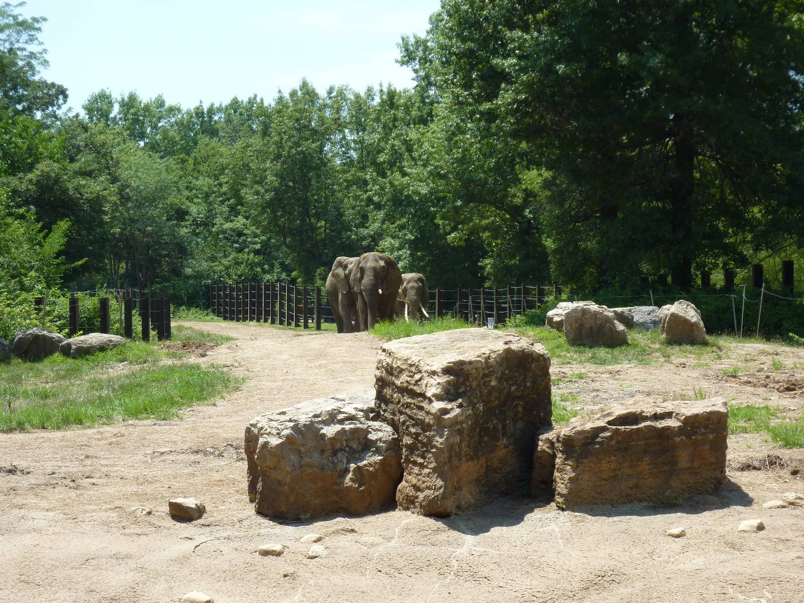 Multi-Acre African Elephant Exhibit