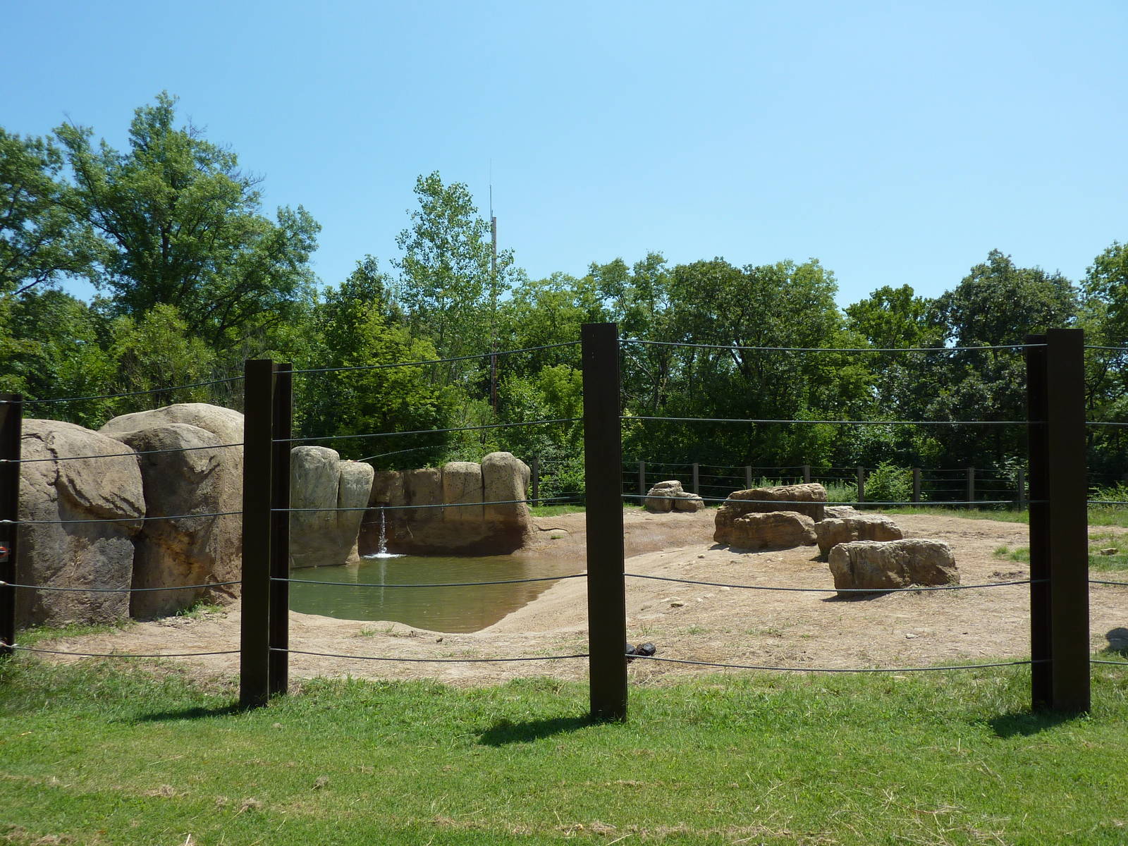 Multi-Acre African Elephant Exhibit
