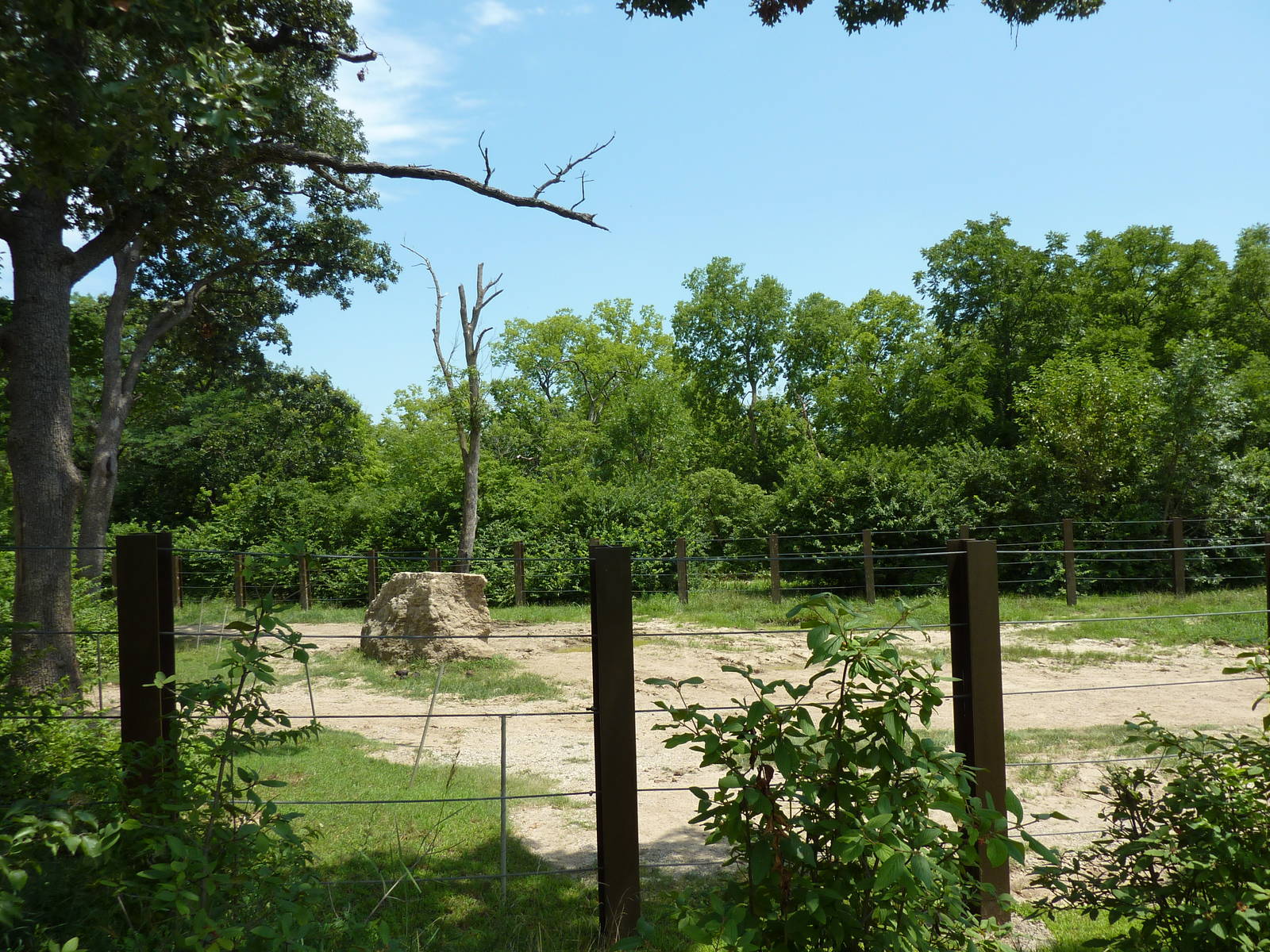 Multi-Acre African Elephant Exhibit