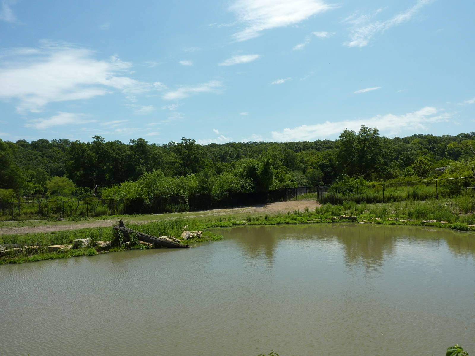 Multi-Acre African Hoofstock Exhibit