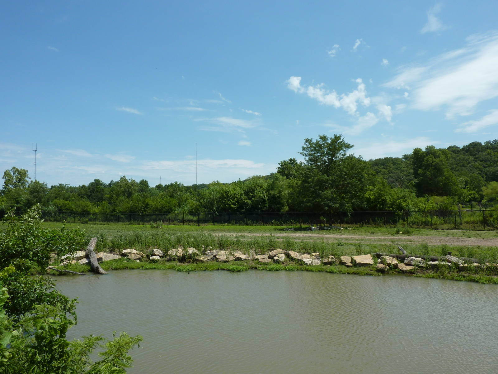 Multi-Acre African Hoofstock Exhibit
