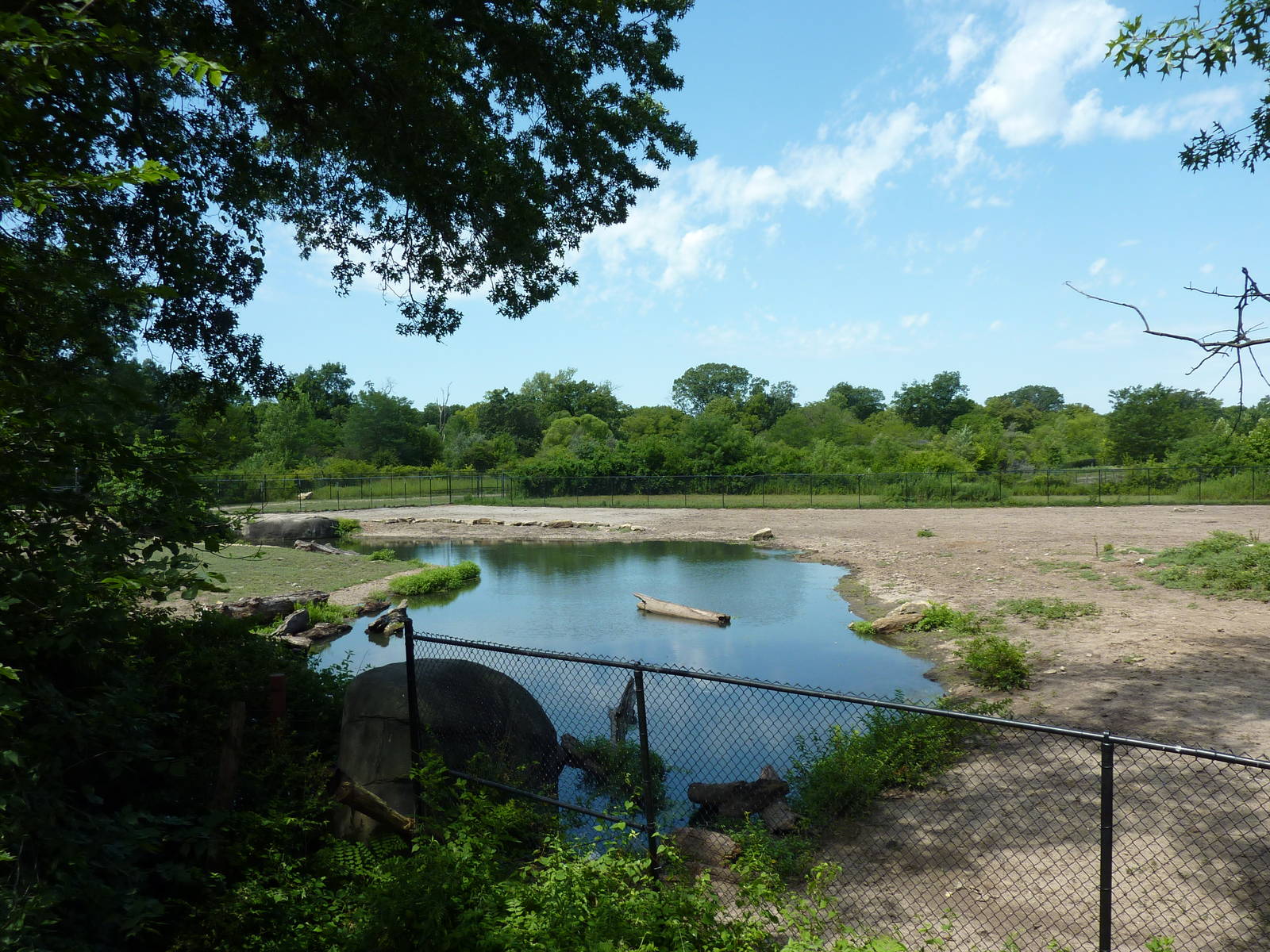 Multi-Acre African Savanna