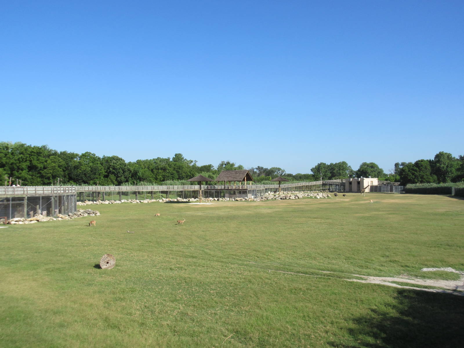 Multi-Acre African Savanna