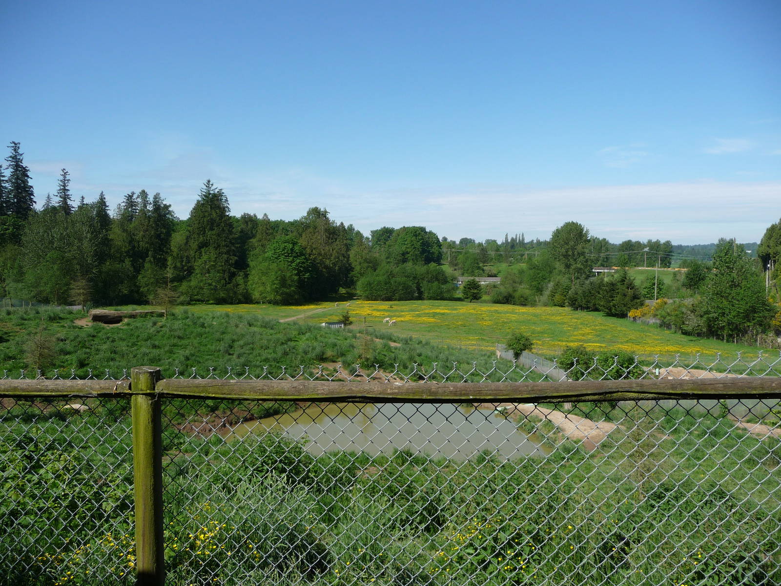 Multi-Acre African Wild Dog Enclosure