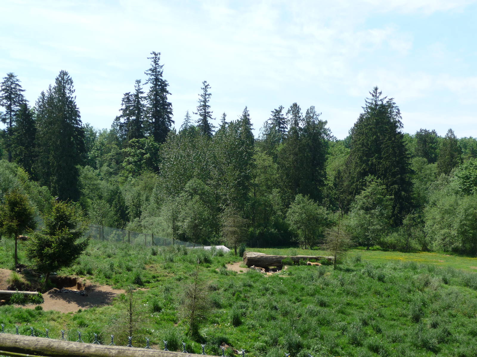 Multi-Acre African Wild Dog Enclosure