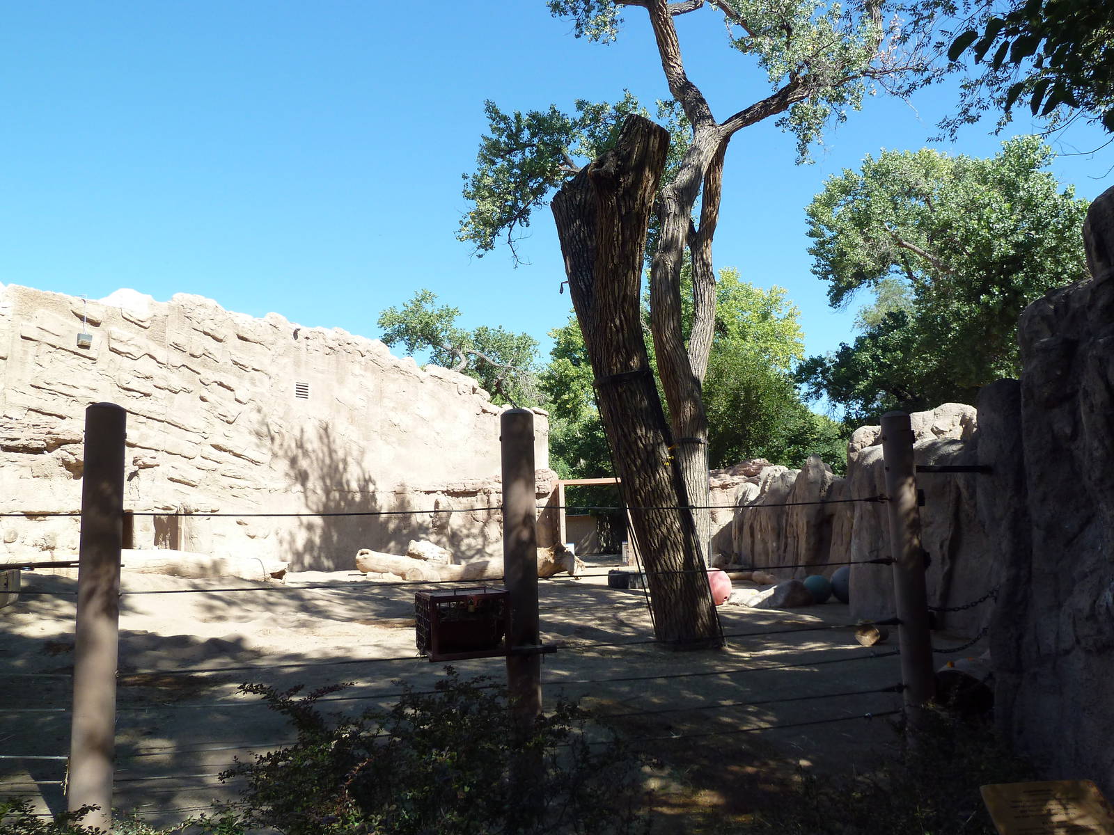 Multi-Acre Asian Elephant Exhibit