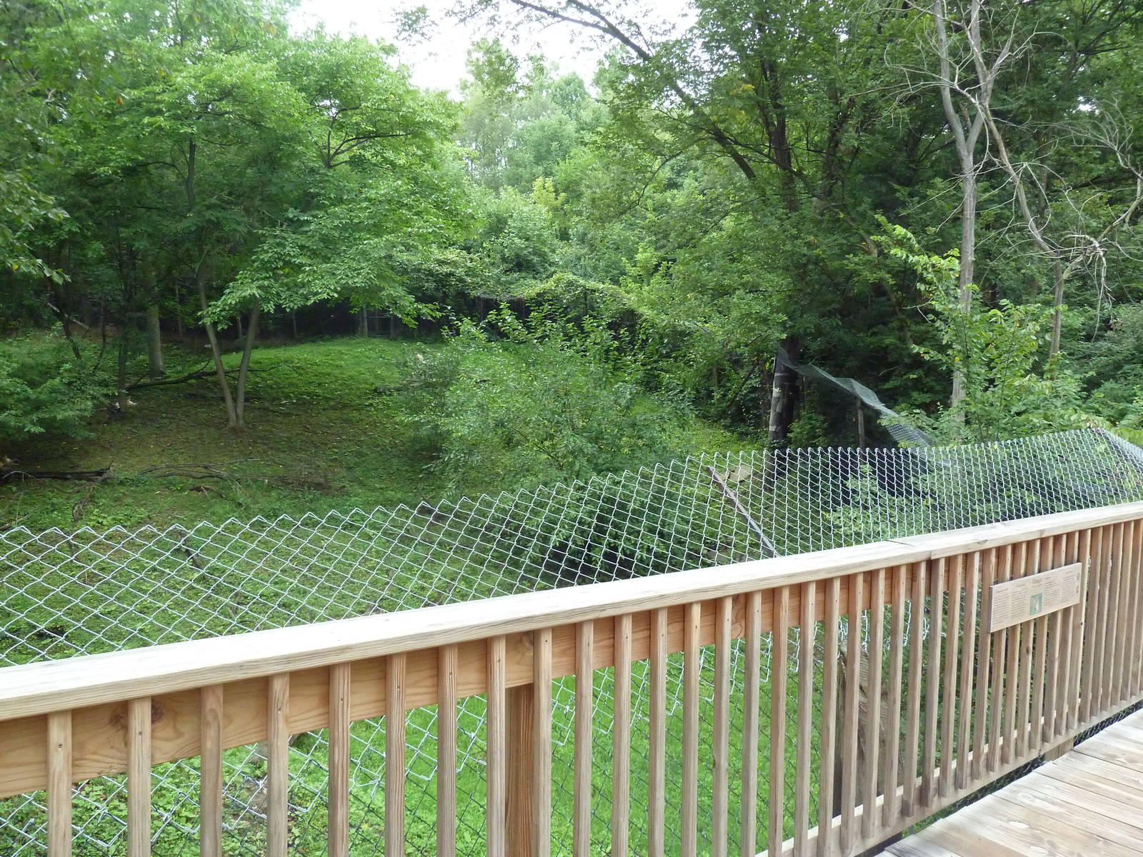 Multi-Acre Cougar Exhibit - see the 2 cats?