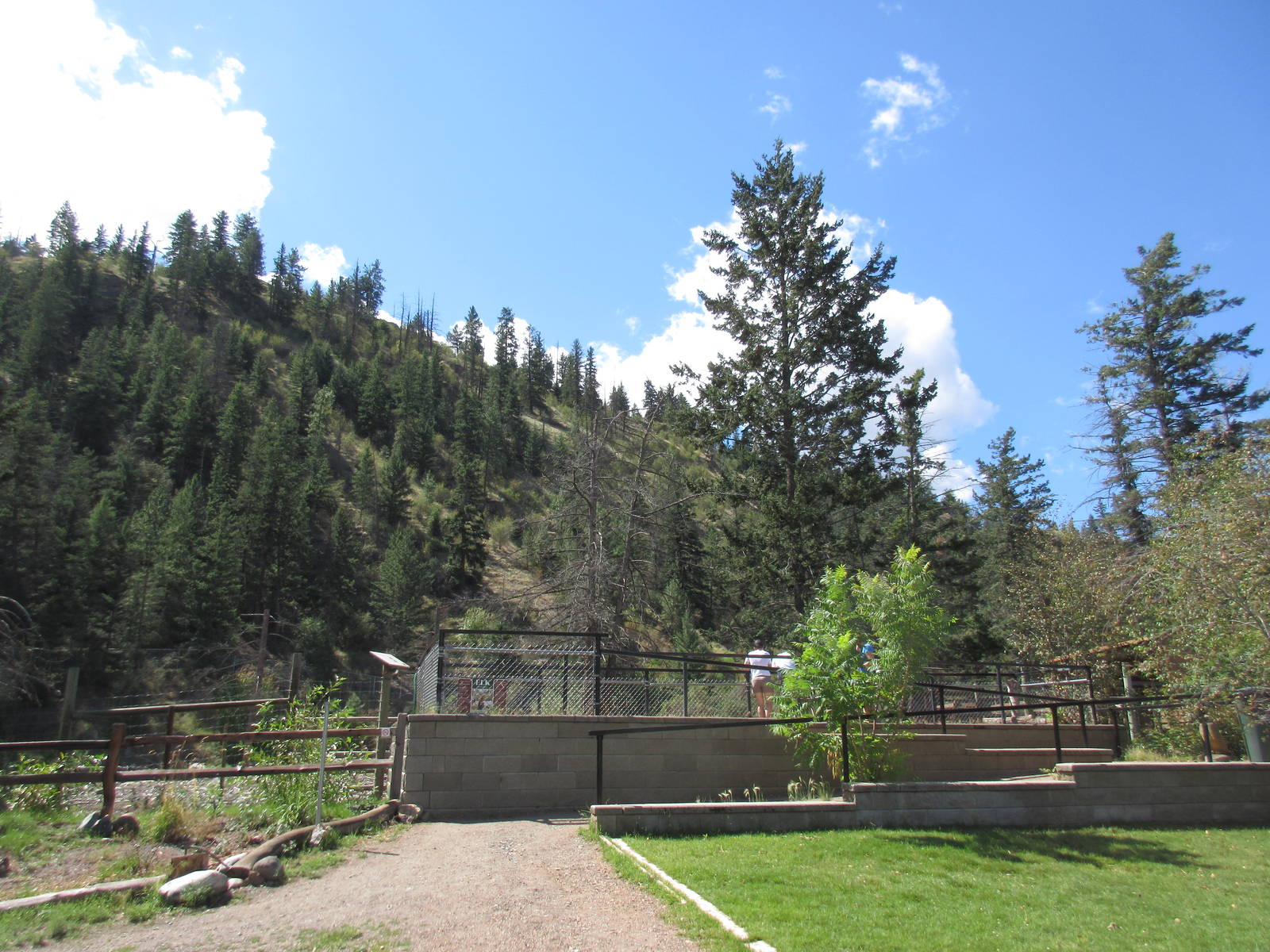 Multi-Acre Elk Exhibit - Viewing Platform