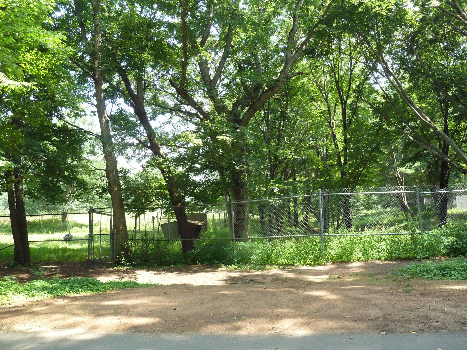 Multi-Acre Elk Exhibit