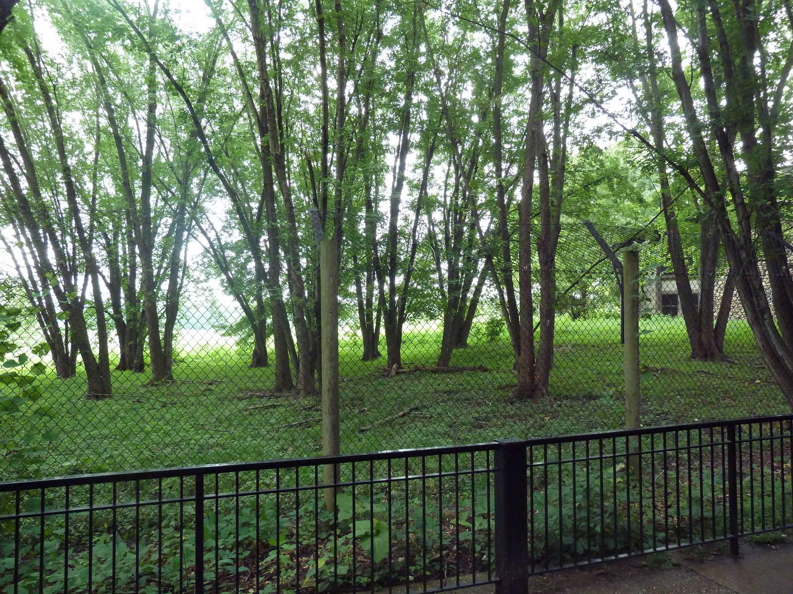 Multi-Acre Grey Wolf Exhibit