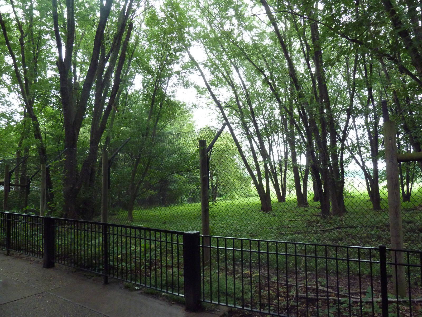 Multi-Acre Grey Wolf Exhibit