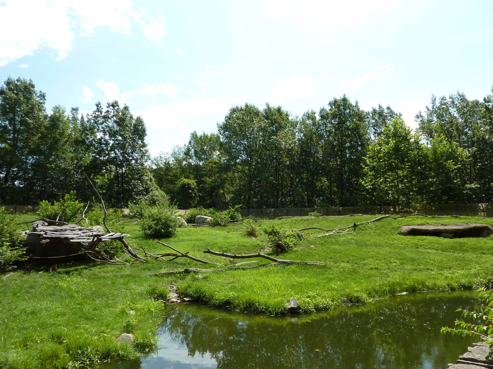 Multi-Acre Guinea Baboon Exhibit