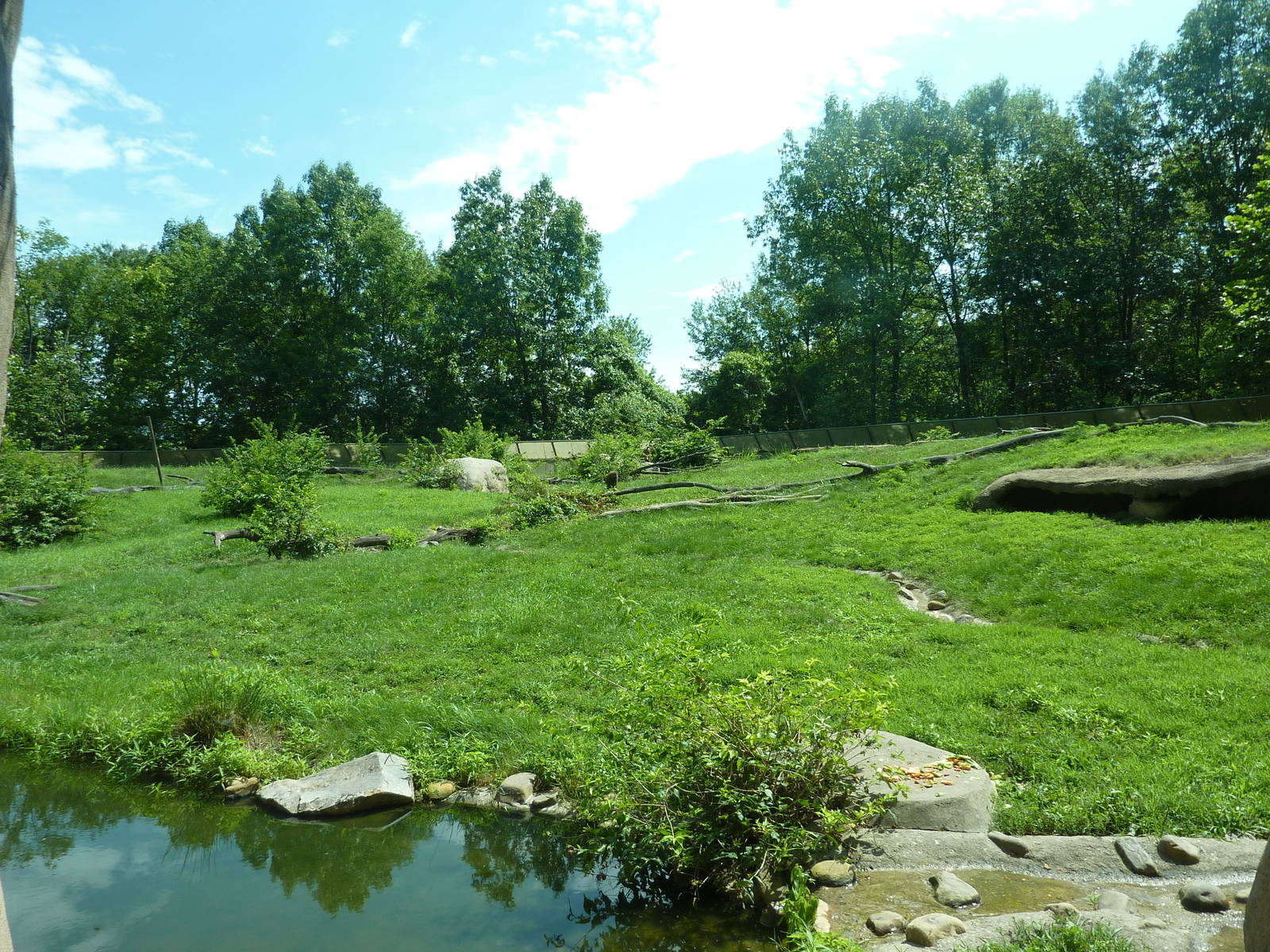 Multi-Acre Guinea Baboon Exhibit