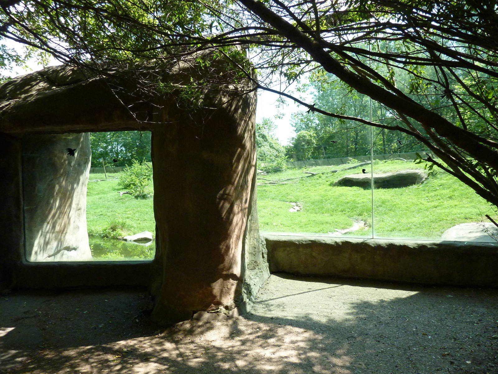 Multi-Acre Guinea Baboon Exhibit