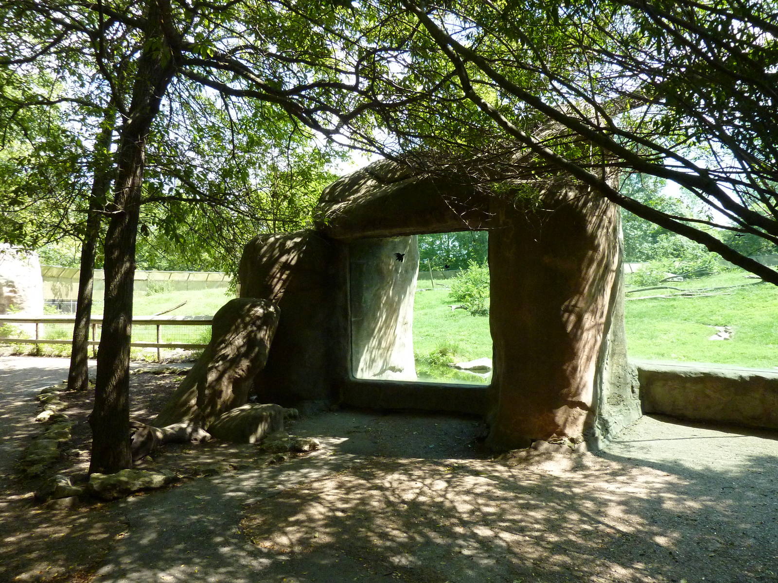 Multi-Acre Guinea Baboon Exhibit