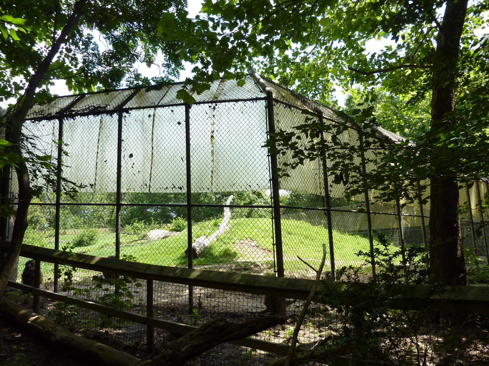 Multi-Acre Guinea Baboon Exhibit