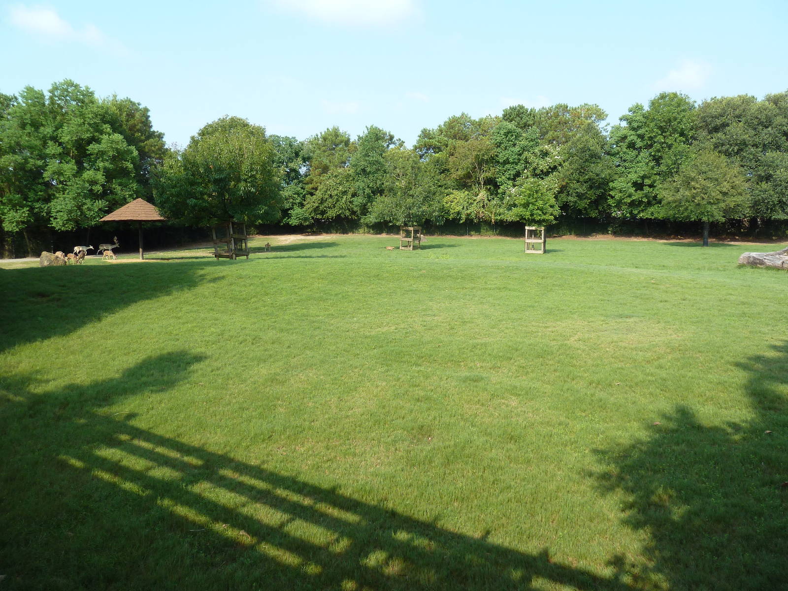 Multi-Acre Sika Deer/Axis Deer/Fallow Deer/Banteng/Muntjac/Sarus Crane Exhi