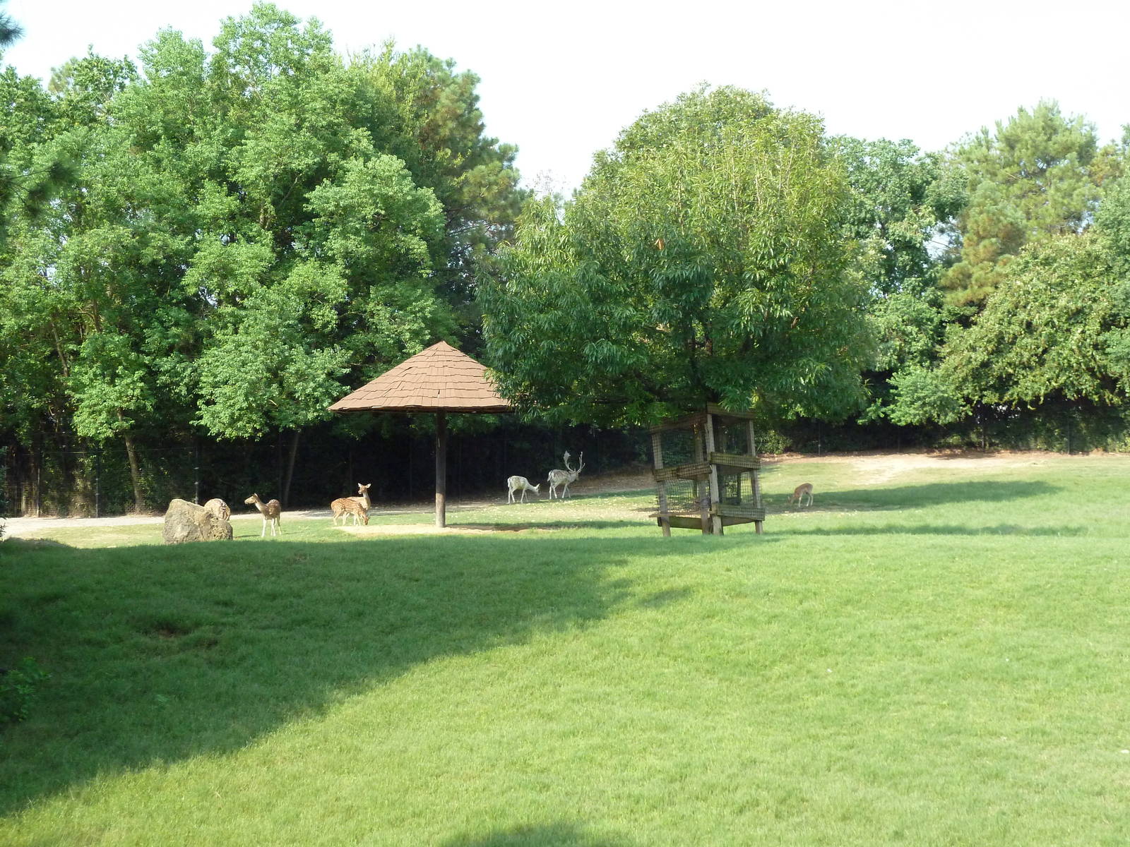 Multi-Acre Sika Deer/Axis Deer/Fallow Deer/Banteng/Muntjac/Sarus Crane Exhi